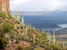 View from Tonto Cliff Dwelling
